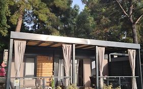 Hemy Casa - Lux Mobile Homes